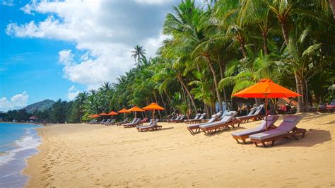 Cheap Flights to Samui International (USM) from £496 Return .